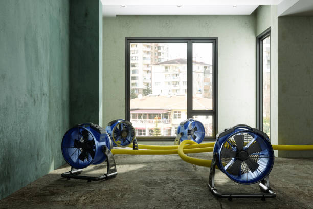 Best Mold removal after water damage  in Baltimore, OH